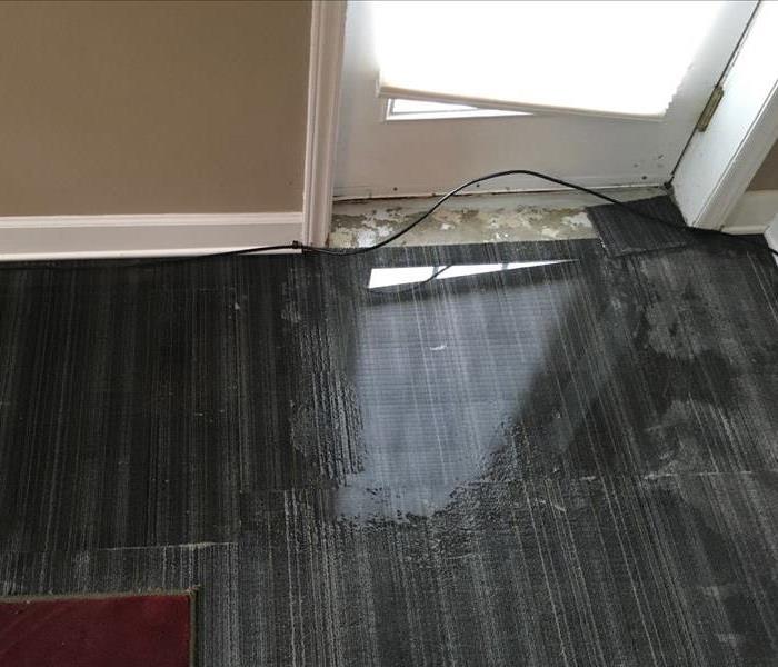 Flood Water has entered a home , coming in at the bottom of a door that has had it's water resistant weather barrier damaged
