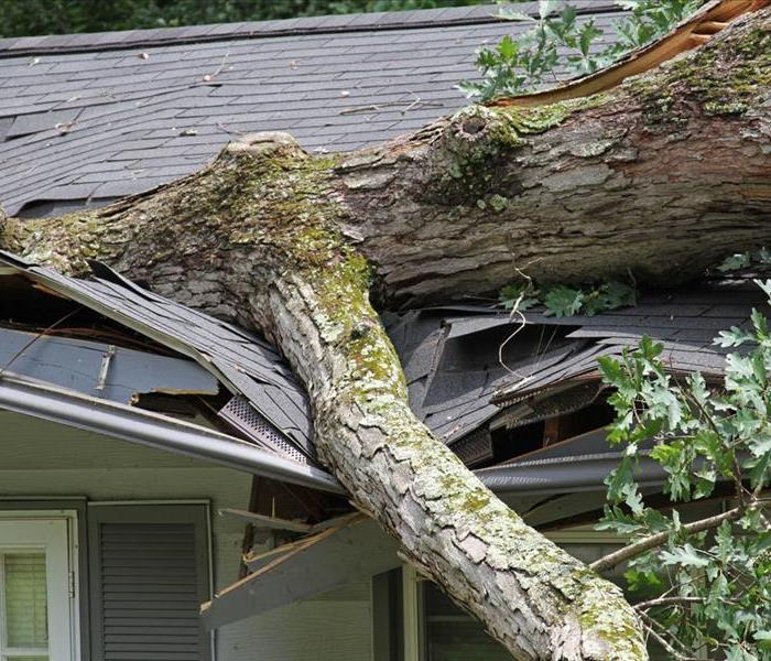 A tree fallen on a house from a wind storm