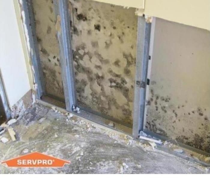Water Damage in a home 
